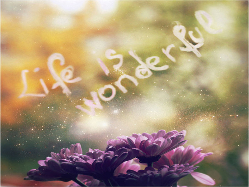 Life_is_wonderful